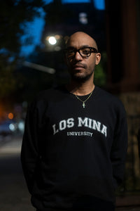 LOS MINA UNIVERSITY