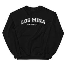 LOS MINA UNIVERSITY